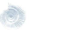 Dorset Digestion Clinic